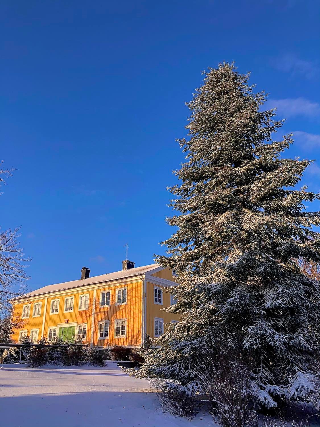 Riksdagsmannagården på vintern